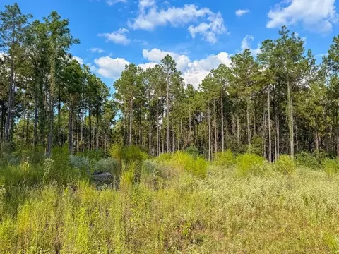000 County Road 4070, Woodville, TX 75979