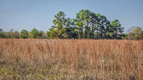 tbd Podraza Rd, New Waverly, TX 77358