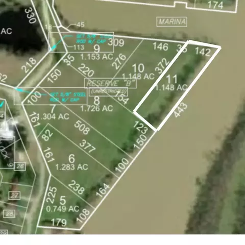lot11 Lake Livingston Ln, Trinity, TX 75862