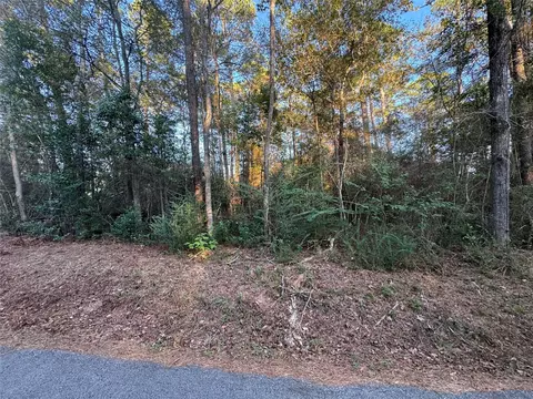 tbd Eastwood Ave, Coldspring, TX 77331