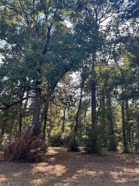 151617 Chain Rd, Livingston, TX 77351