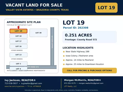 lot19 County Rd 572, Rosharon, TX 77583