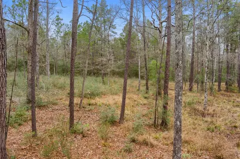 10751 Ruger Rd, Willis, TX 77378 photo 6