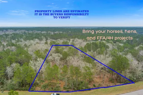 10751 Ruger Rd, Willis, TX 77378 photo 2