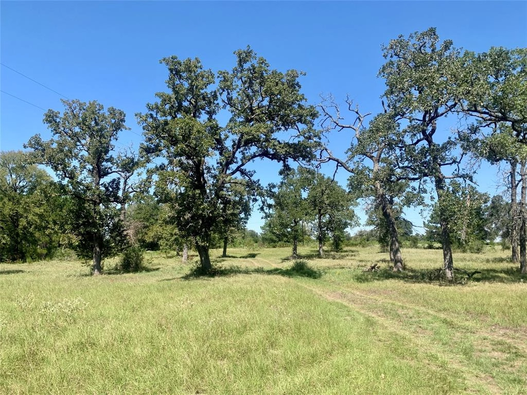 000 County Rd 137  