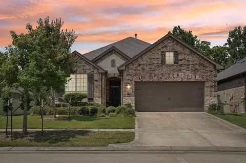 10029 Red Beadtree Pl, Conroe, TX 77385 photo 1