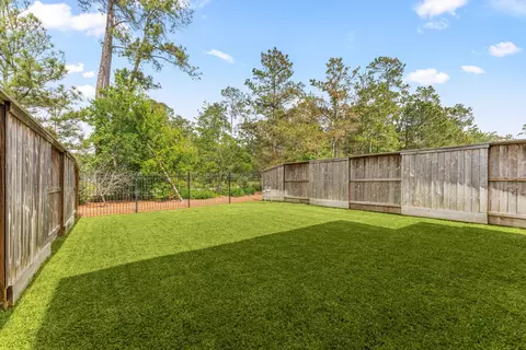 Exterior - 74 Dobbs View Ln, Spring, TX 77389 photo 6 of 9