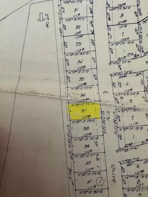 tbd 37 Pinnacle, Trinity, TX 75862 photo 3