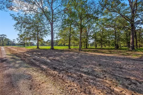 6087 Alans Memorial Ln, New Waverly, TX 77358