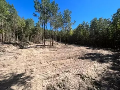 Tract 5-c Fm 161 N, Hughes Springs, TX 75656