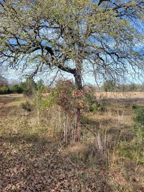 1 Navarro Ln, Grapeland, TX 75855