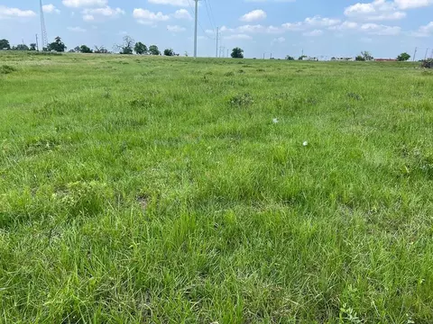 Tract #4 Fm 2562 Road, Richards, TX 77873