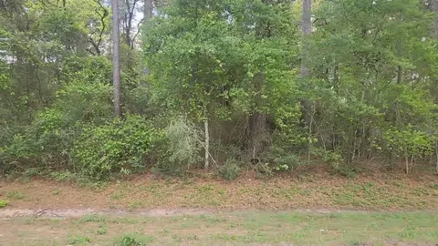 lot1 N Council Dr, Hempstead, TX 77445 photo 11