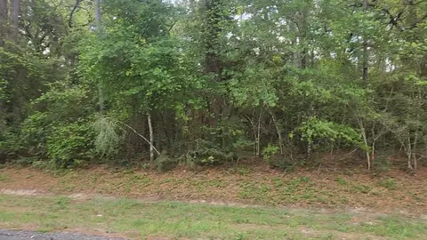 lot1 N Council Dr, Hempstead, TX 77445 photo 12