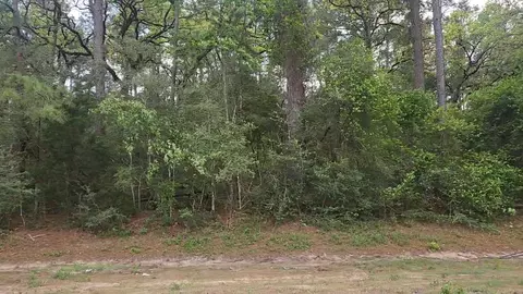lot1 N Council Dr, Hempstead, TX 77445 photo 9