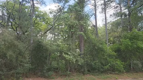 lot1 N Council Dr, Hempstead, TX 77445 photo 4