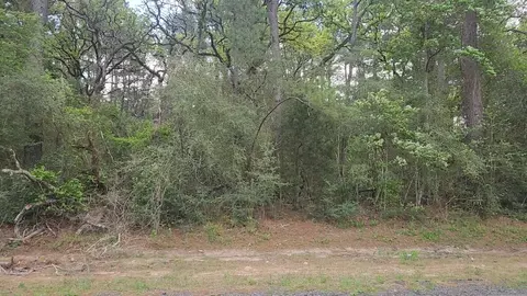 lot1 N Council Dr, Hempstead, TX 77445 photo 8