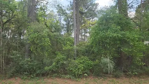 lot1 N Council Dr, Hempstead, TX 77445 photo 10