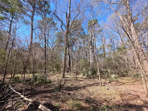tbd Fm 156, Coldspring, TX 77331