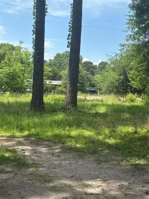Other - 164 Moon Mist Dr, Trinity, TX 75862 photo 3 of 6