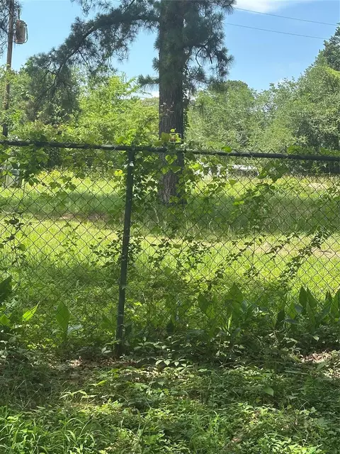 Other - 164 Moon Mist Dr, Trinity, TX 75862 photo 5 of 6