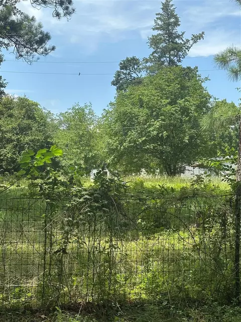 Other - 164 Moon Mist Dr, Trinity, TX 75862 photo 2 of 6