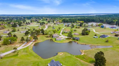View/Area - 140 Meadowview Dr, Trinity, TX 75862 photo 3 of 3