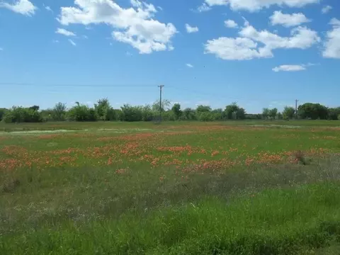 0 Lot 49 Fox Hollow Rd, Lone Oak, TX 75453