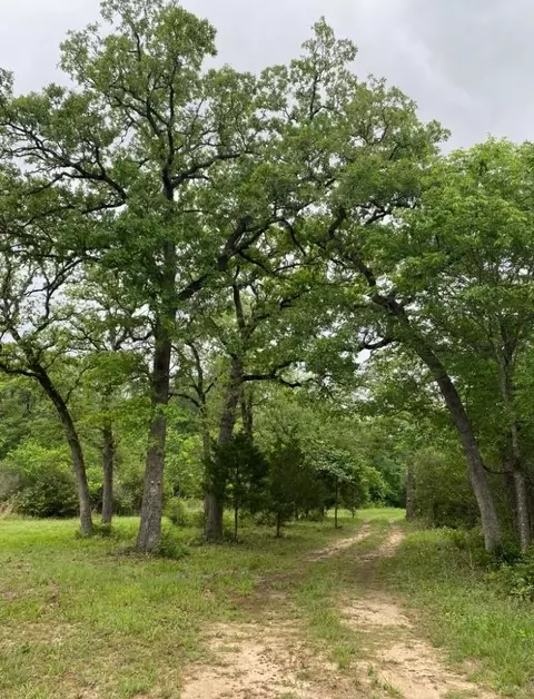 1803 Doe Run Dr, Waelder, TX 78959