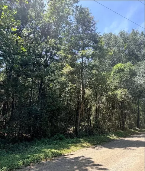 Other - 6 18ac County Road 3103, Call, TX 75933 photo 12 of 16