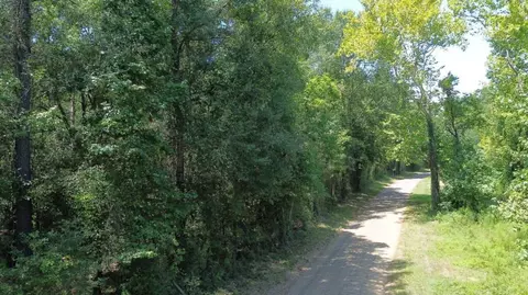 Other - 6 18ac County Road 3103, Call, TX 75933 photo 13 of 16