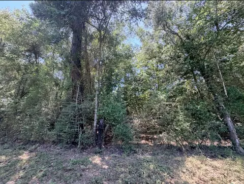 Other - 6 18ac County Road 3103, Call, TX 75933 photo 6 of 16