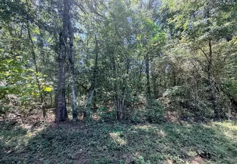 Other - 6 18ac County Road 3103, Call, TX 75933 photo 9 of 16