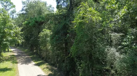 Other - 6 18ac County Road 3103, Call, TX 75933 photo 14 of 16