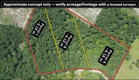 Other - 6 18ac County Road 3103, Call, TX 75933 photo 3 of 16