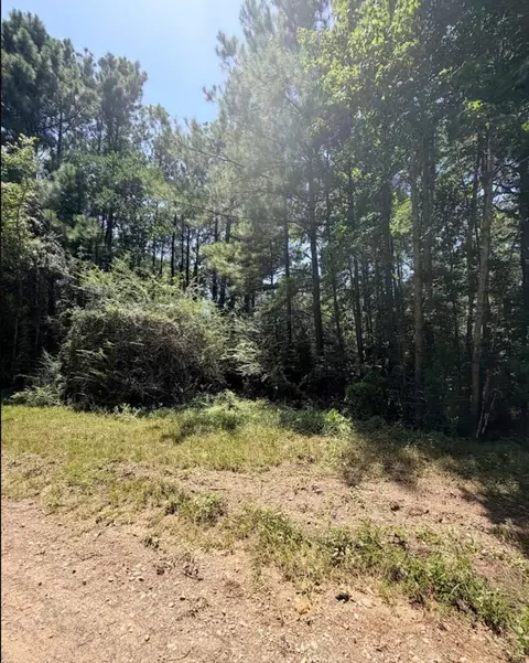 Other - 6 18ac County Road 3103, Call, TX 75933 photo 16 of 16