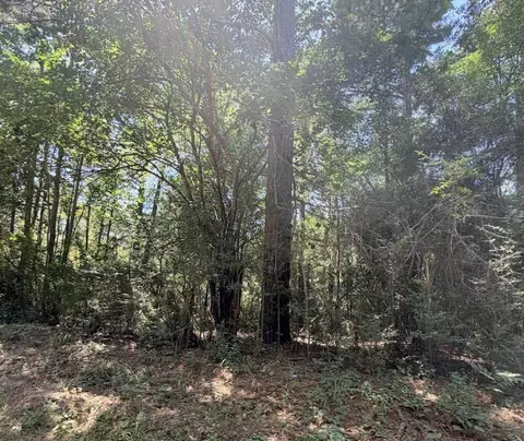 Other - 6 18ac County Road 3103, Call, TX 75933 photo 15 of 16