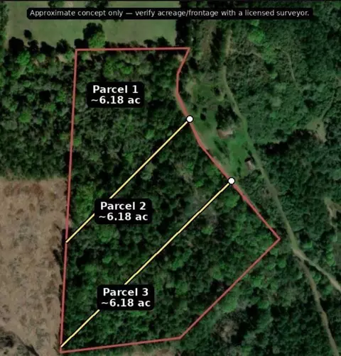 Other - 6 18ac County Road 3103, Call, TX 75933 photo 4 of 16