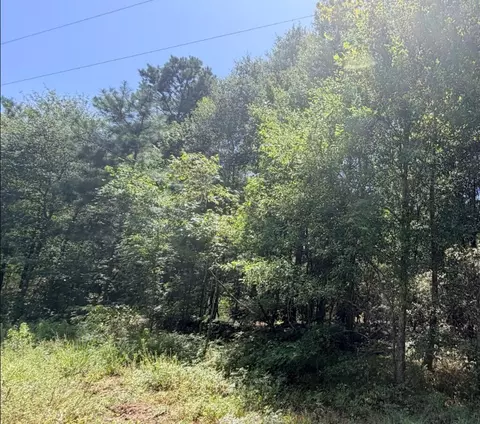 Other - 6 18ac County Road 3103, Call, TX 75933 photo 11 of 16
