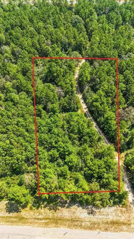 15672 Fire Sky Rd, Willis, TX 77378 photo 1