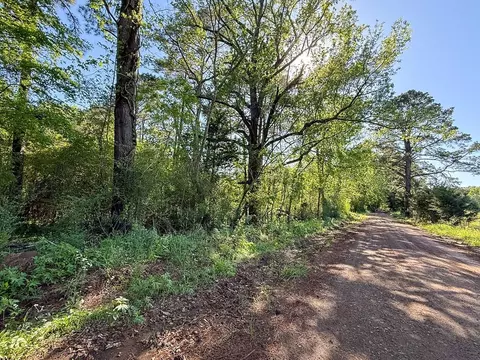 tbd Flat Rd, Milam, TX 75930