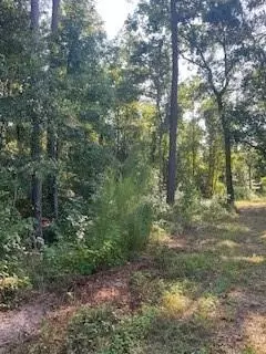 4607 Woodpeckers Grv, Cleveland, TX 77328