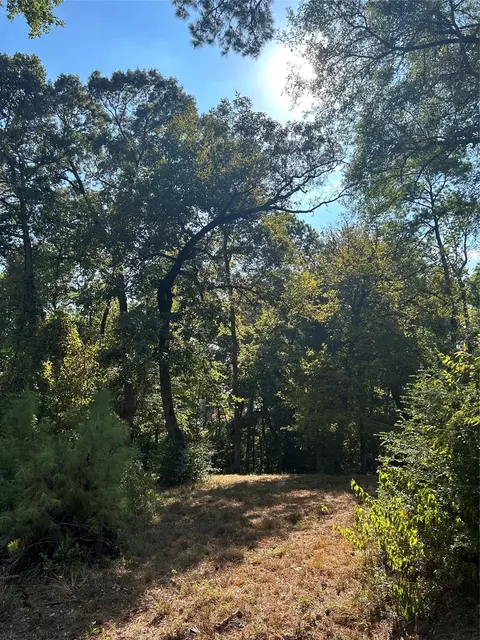 tbd Tiki Trl, Livingston, TX 77351