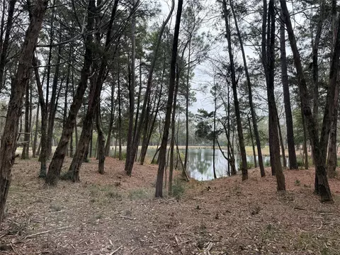 lot7 Block 2 Evergreen Hill Ln, Willis, TX 77378