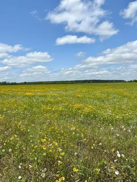0 County Road 48, Angleton, TX 77515 photo 4