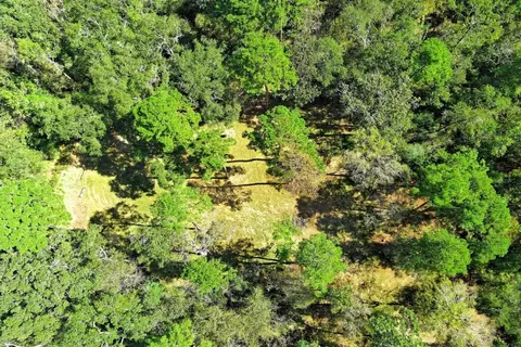 View/Area - tbd Bryan Ln, Willis, TX 77378 photo 4 of 13