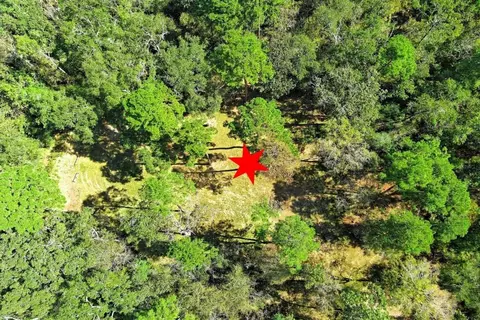View/Area - tbd Bryan Ln, Willis, TX 77378 photo 5 of 13
