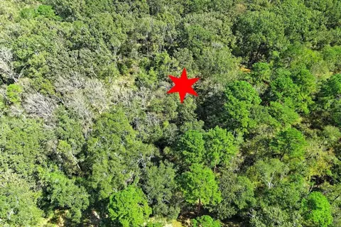 View/Area - tbd Bryan Ln, Willis, TX 77378 photo 7 of 13