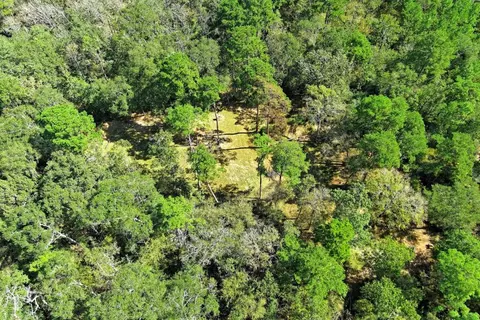 View/Area - tbd Bryan Ln, Willis, TX 77378 photo 3 of 13