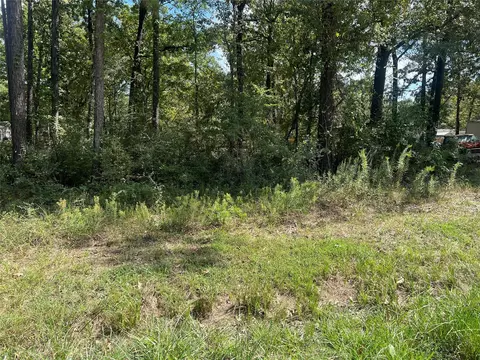 tbd Meridian #LOT 22, Livingston, TX 77351